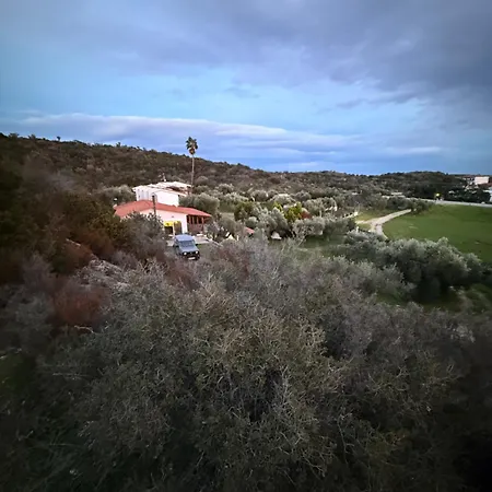 Balahouti Olive House,