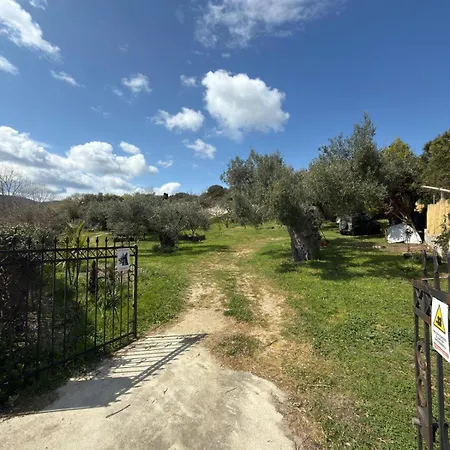 Holiday home Balahouti Olive House, *