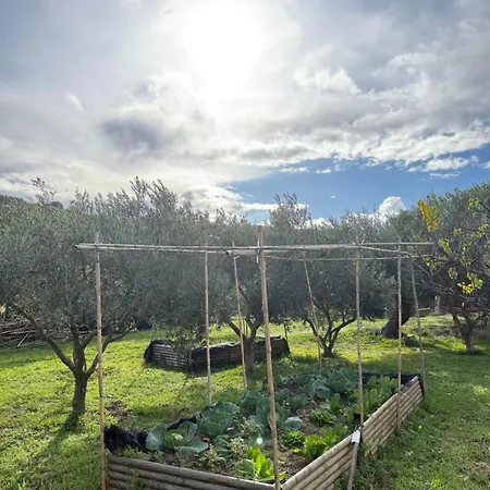 Balahouti Olive House, Kalamitsi (Macedonia)
