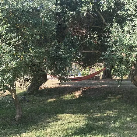 Holiday home Balahouti Olive House,