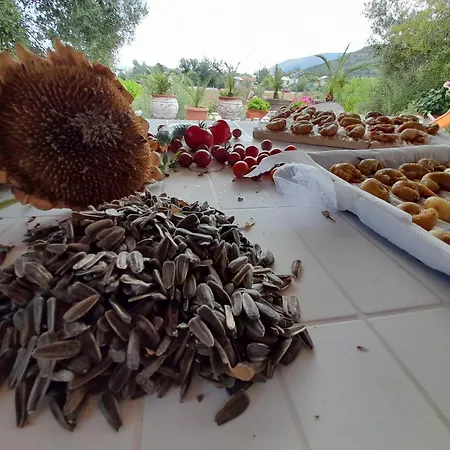 펜션 Balahouti Olive House, Kalamítsion
